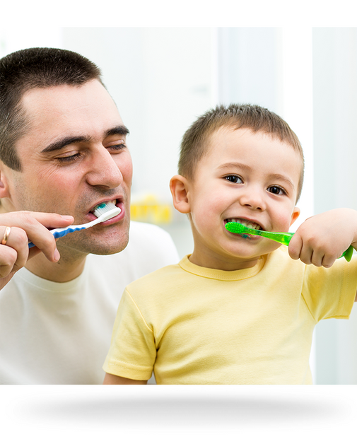 L’apparition des dents